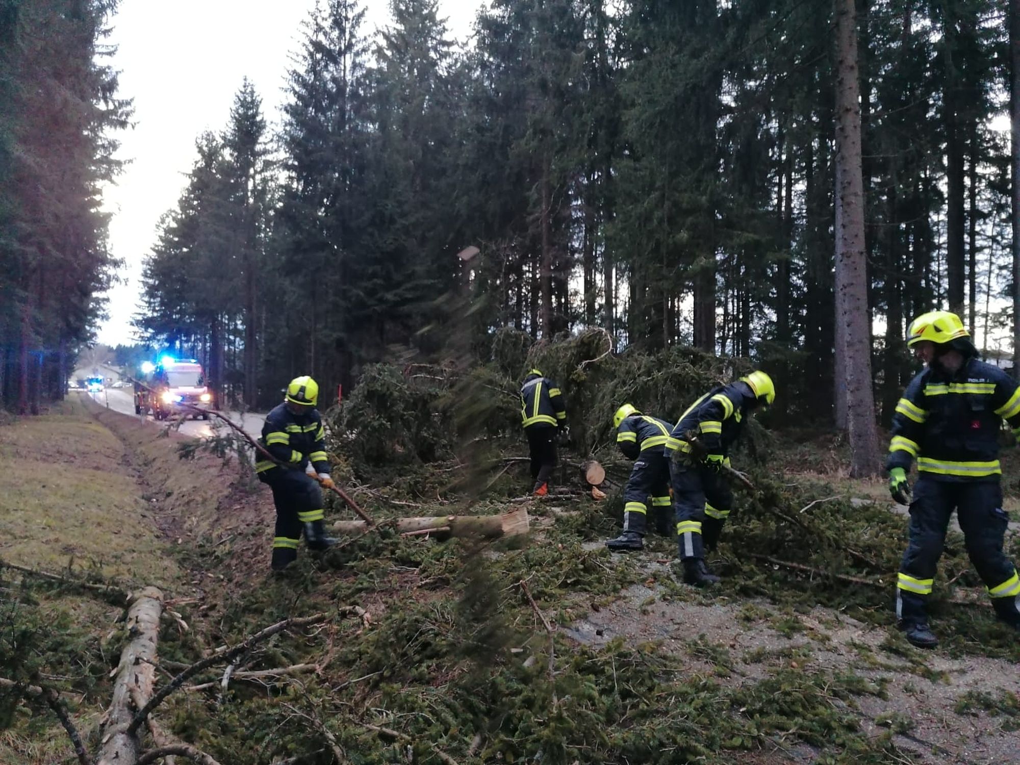 Read more about the article Verkehrsunfall nach Sturmschaden